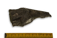 F 00963
<br/>
<br/>
<em></em>